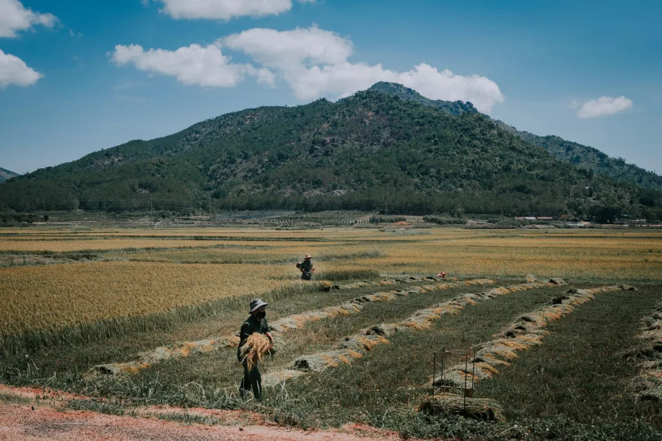 Kho gạo của Arâl Thị Đen